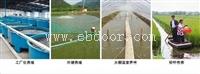 基围虾在什么场地好养活