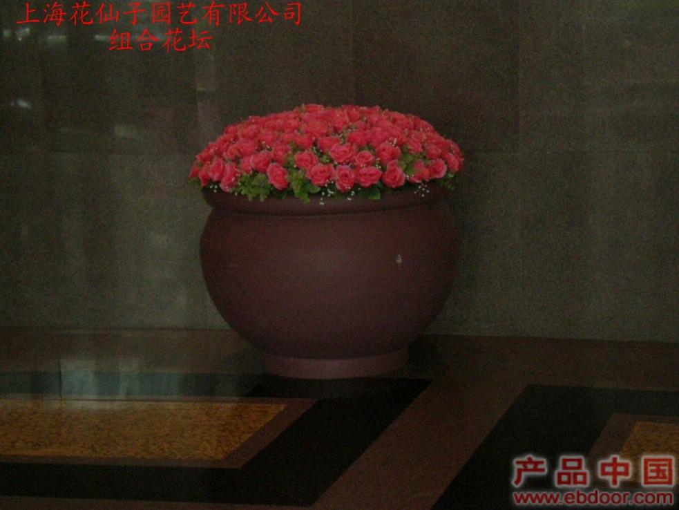 组合花坛�