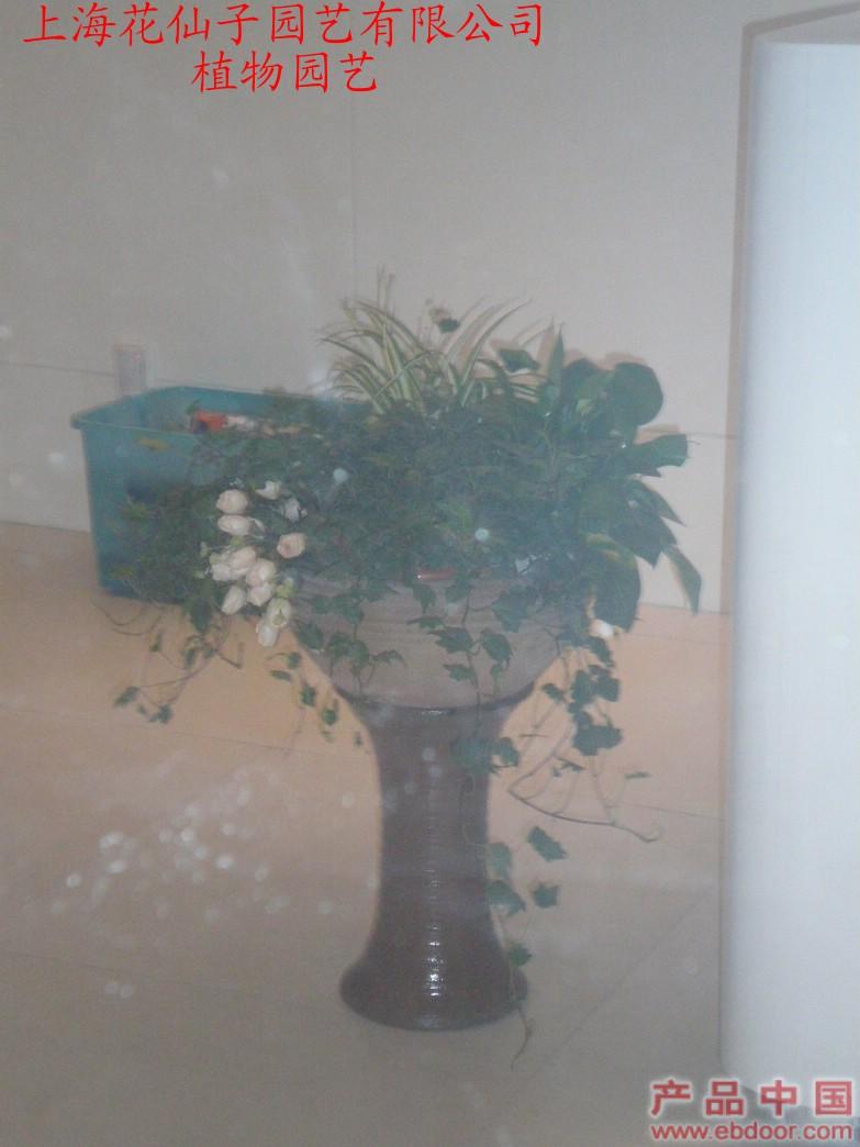 植物园艺�