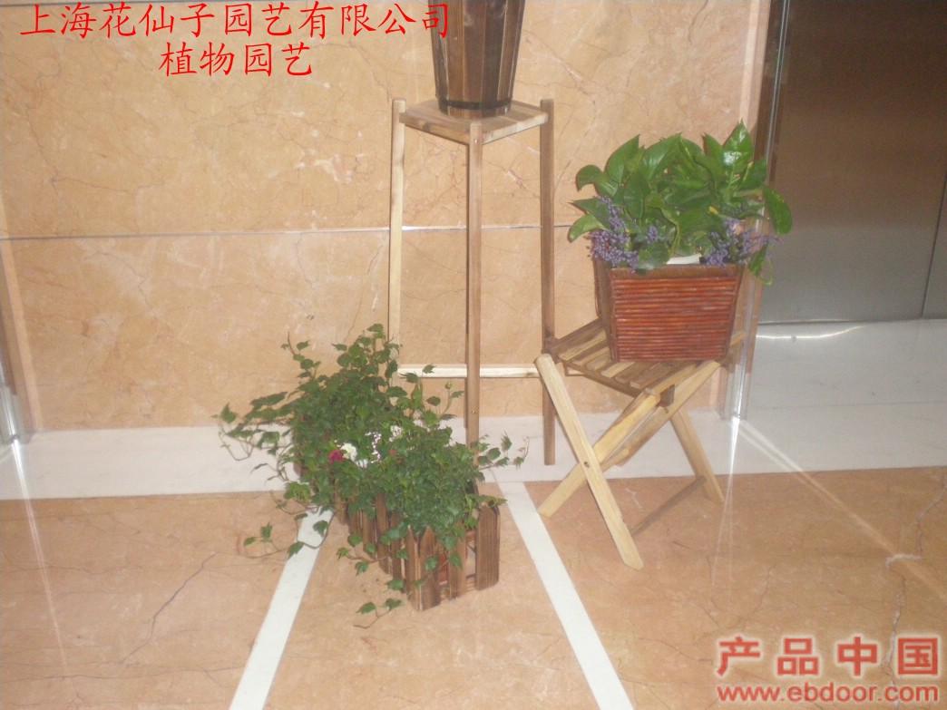 植物园艺�