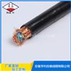 硅橡胶计算机电缆ZRN-DJVVP2氟塑料 柔软导体
