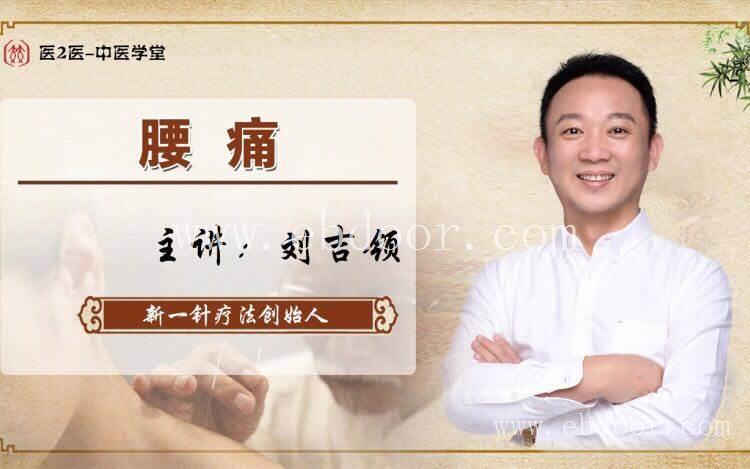 中医康复技术 针灸减肥丰胸美容祛斑 美容针去皱隆鼻针