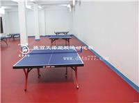 乒乓球PVC运动塑胶地板/石家庄PVC运动塑胶地板10 