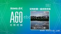 潍坊安利直销工作室具体位置