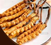 南沙回收冬虫夏草虫草价格