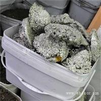 浙江锡滴回收+废锡渣一斤多少钱