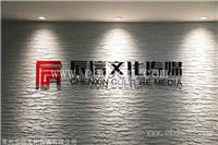 厂家专业制作安装 公司LOGO墙 单位活动室设计 