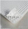车库雨水收集_PED14高分子防护排水形片