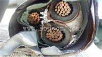 广州铜芯电缆回收