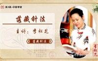 北京李松芝落藏腹针放血疗法