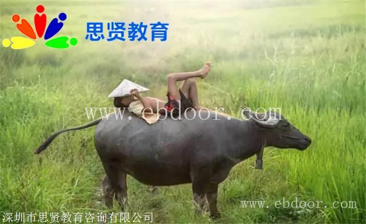 入户宝典：深圳市新生儿户口办理流程