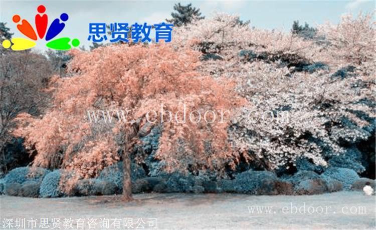 深户参考资料：深圳户籍新政策