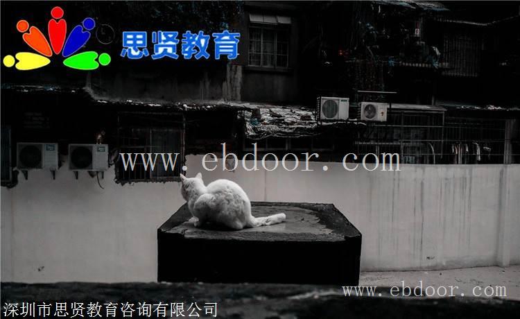 开放入户：深圳转户口中介