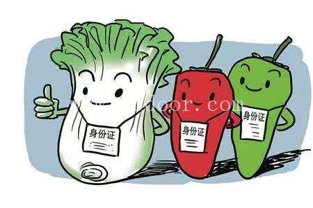 奉贤区食品证审核要求