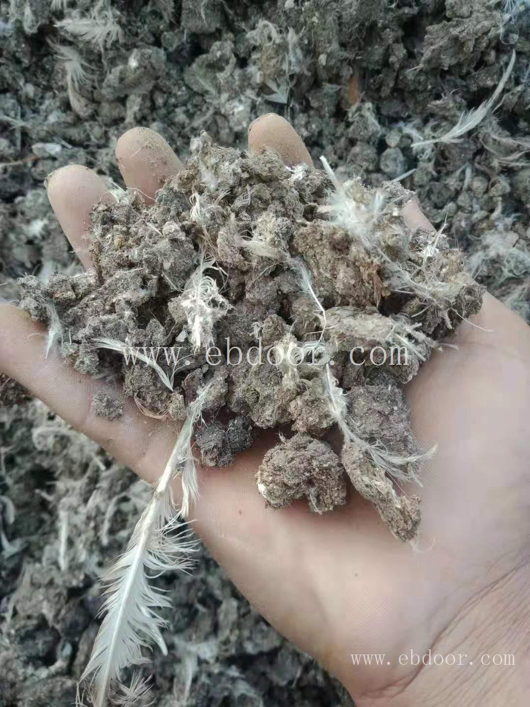 甘肃定西地区晒干鸡粪手工加工鸡粪质量就是好没的说