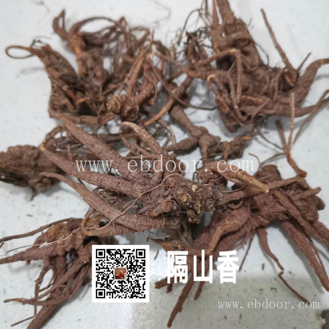 隔山香价格/功效/隔山香哪里买得到