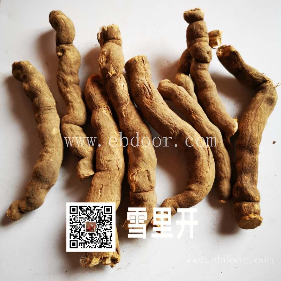 雪里开价格/功效/雪里开哪里买得到