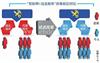 青浦区外汇管理局备案价格