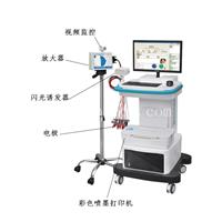脑电地形图仪价格 点击查看详情
