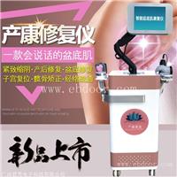 新款盆底肌修复仪全新价格 产后盆底肌康复理疗仪厂家批发