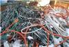 海珠区低压电缆回收实时价格
