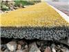 大理市透水路面胶结料 彩色混凝土 透水砼