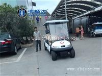 6座电动高尔夫观光车 景区高尔夫球车 电动观光车带货箱 