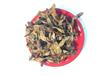 凌霄花批发价 量大从优