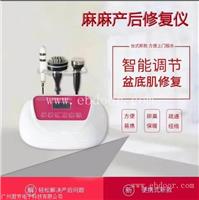 便携式盆底肌修复仪批发价格 产后修复理疗仪产地