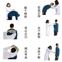 宁夏脊柱曲度检测仪生产厂家