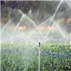 海南三亚智能灌溉厂家 智能灌溉解决方案 有实力的智能灌溉系统