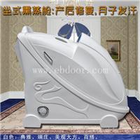 驱除体内湿寒满月发汗舱厂家供应 熏蒸舱