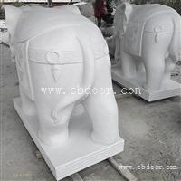 广东公司大象