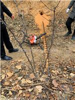 汽油水平过路钻孔机功能大