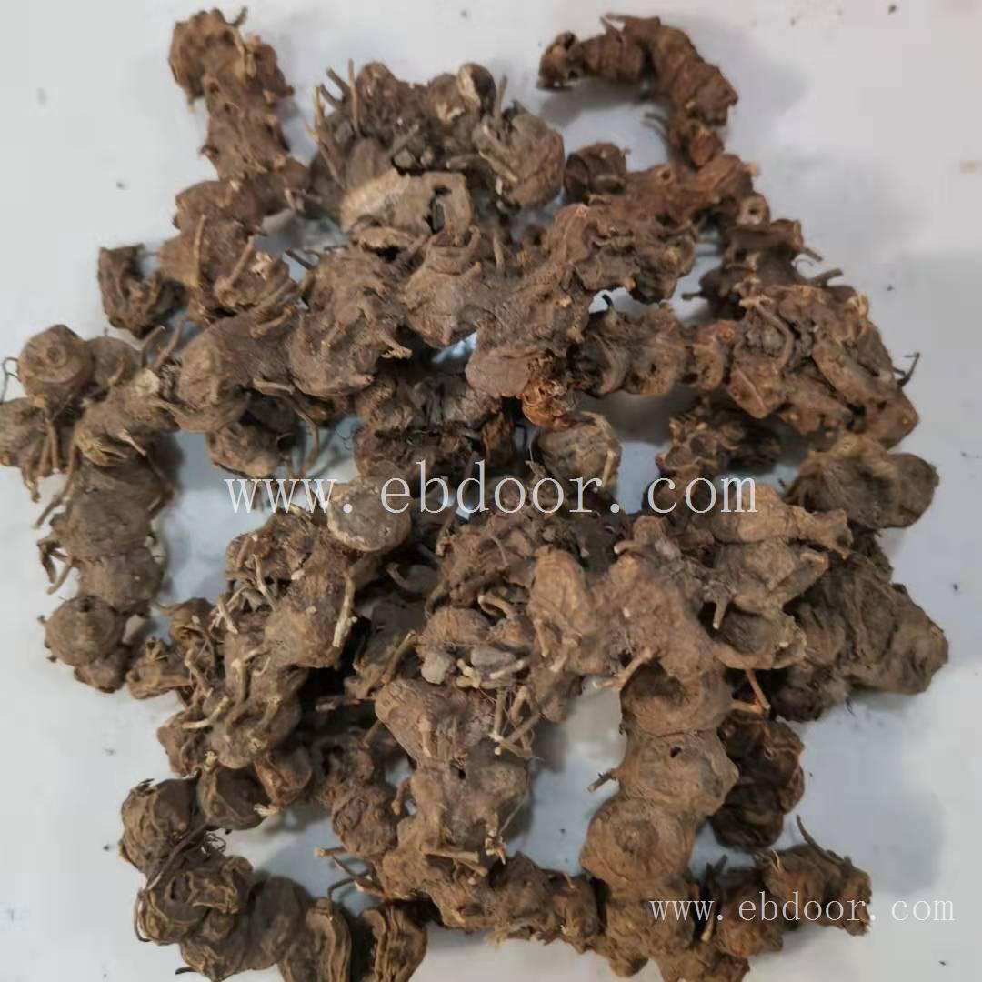山荷叶价格/八角莲产地供应