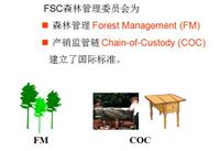 正规FSC认证多少钱 fsc认证专家一对一上门指导