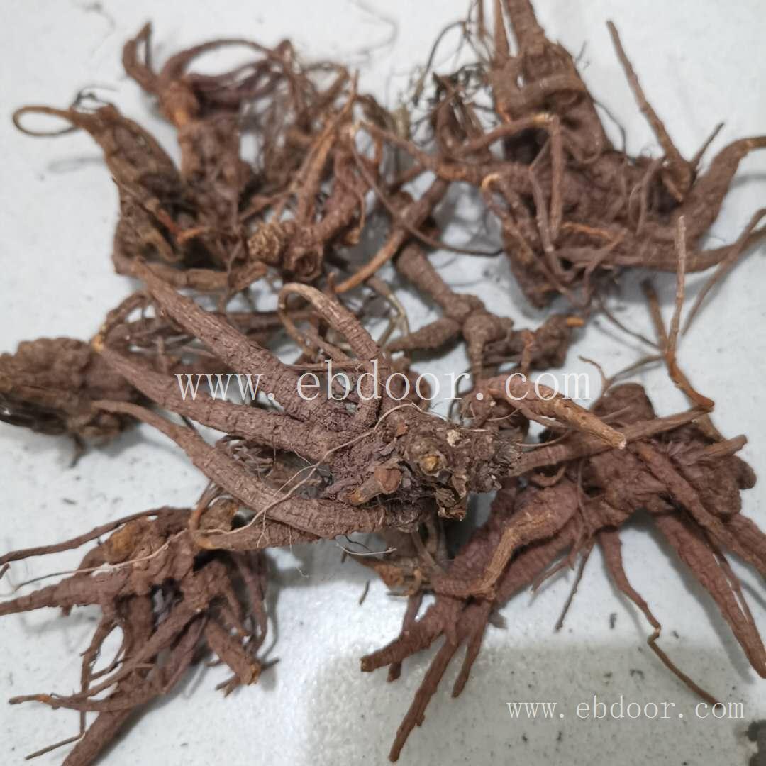 隔山香厂家批发价格