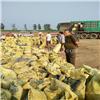安徽滁州羊粪厂家土壤改良用肥一吨大概几个立方米