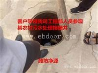 新建小区地埋式黑臭水体处理装置