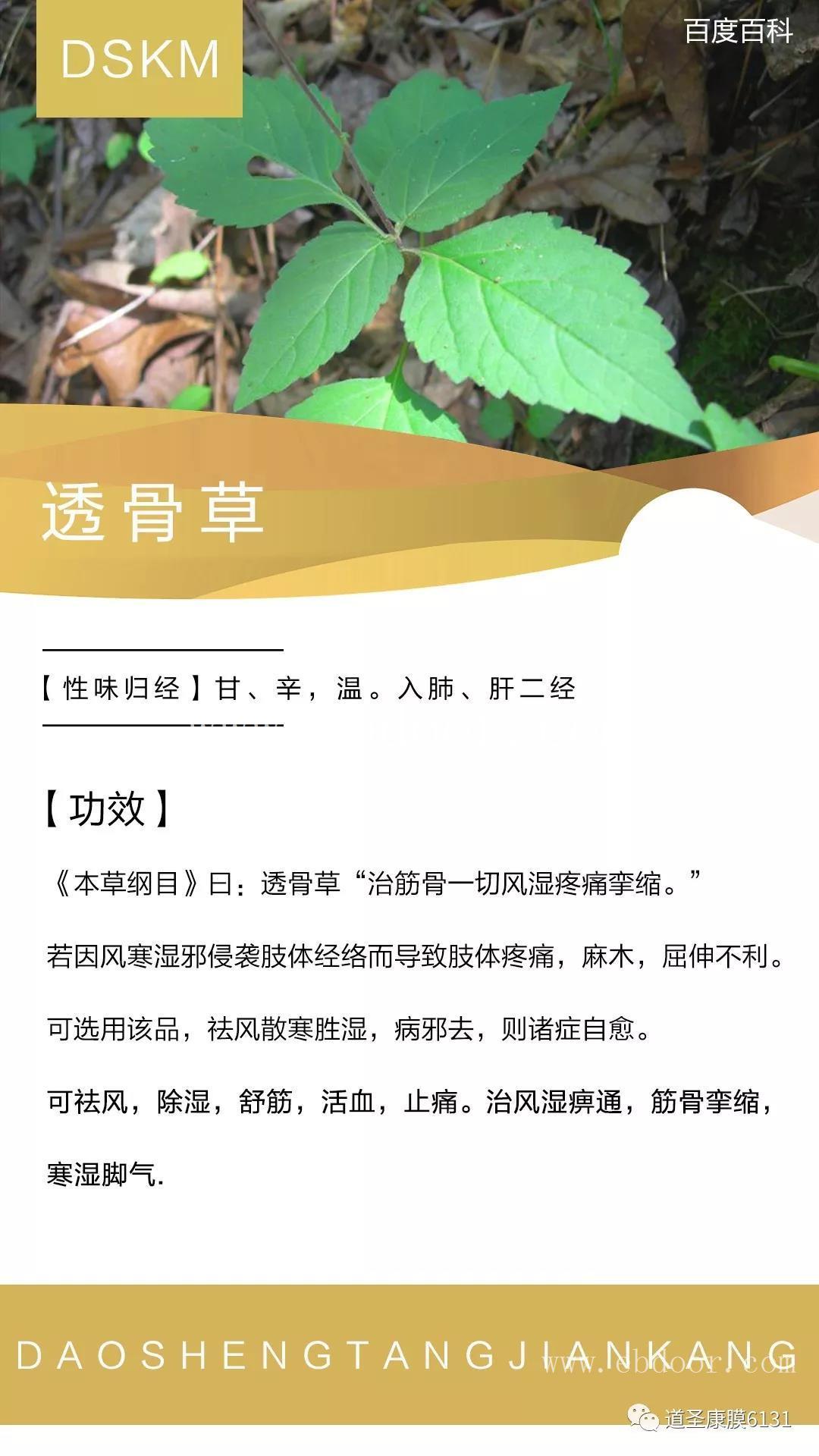 河南道圣康膜生产厂家欢迎咨询-道圣堂国际贸易公司