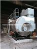 低氮锅炉的结构特点进口低氮燃烧器FGR技术的应用江苏锅炉厂家