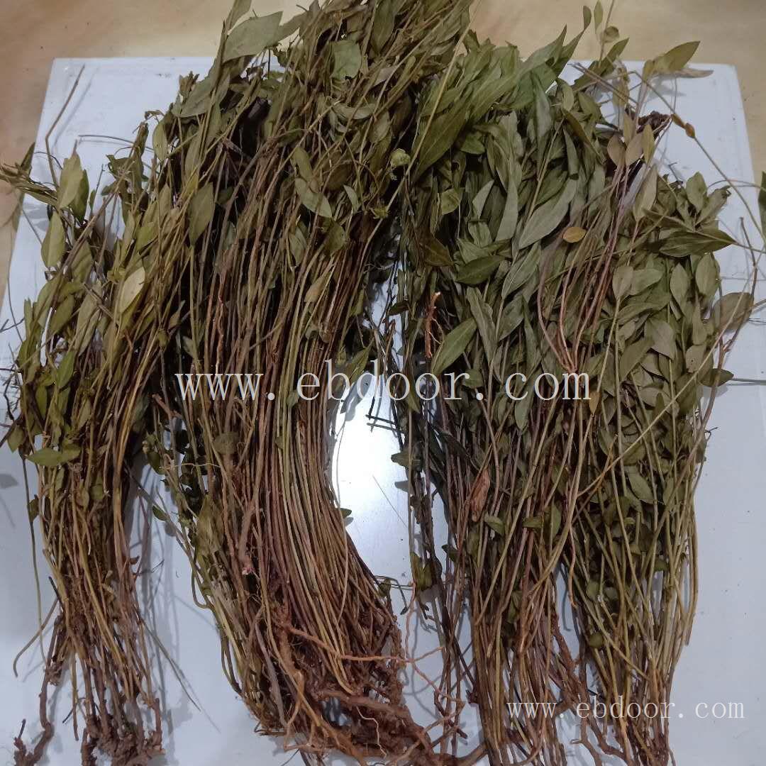 瓜子金 洛阳瓜子金厂商