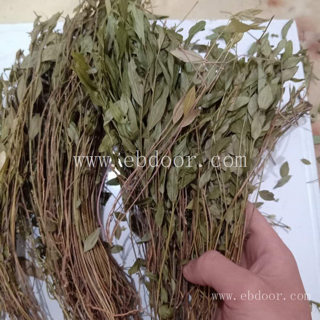 瓜子金-唐山销售瓜子金