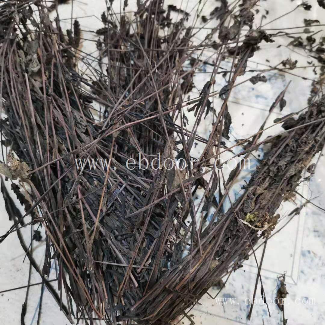 鬼羽箭 湘潭鬼羽箭生产厂家
