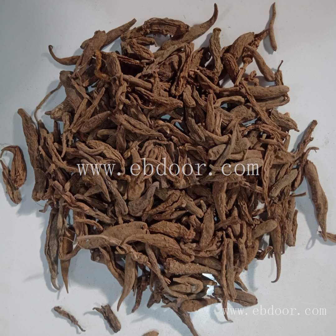 双肾参 秦皇岛供应双肾参