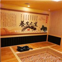 家用简易汗蒸房 韩式汗蒸房 100余种装修风格