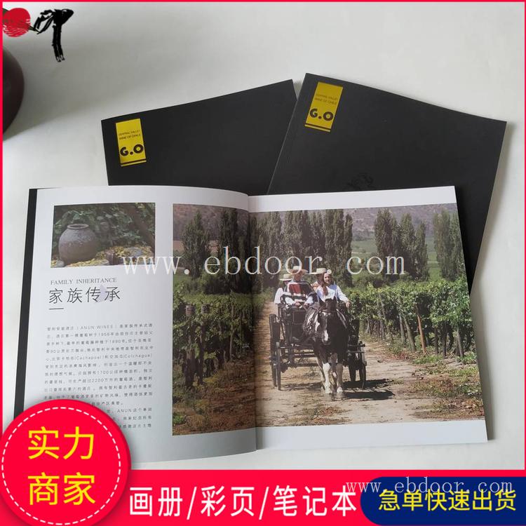 别墅电梯安装图册 房型设计样本画册 源头厂家定制