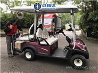 广东鸿畅达 电动高尔夫球车 高尔夫球车厂家 电动观光车 贵宾接待
