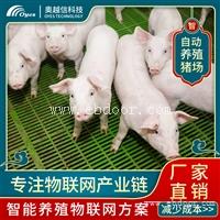 自动养猪 养猪软件系统 高效养猪