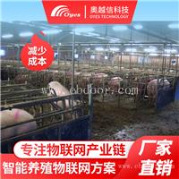 高科技养猪 科学养猪大全 中国养猪网